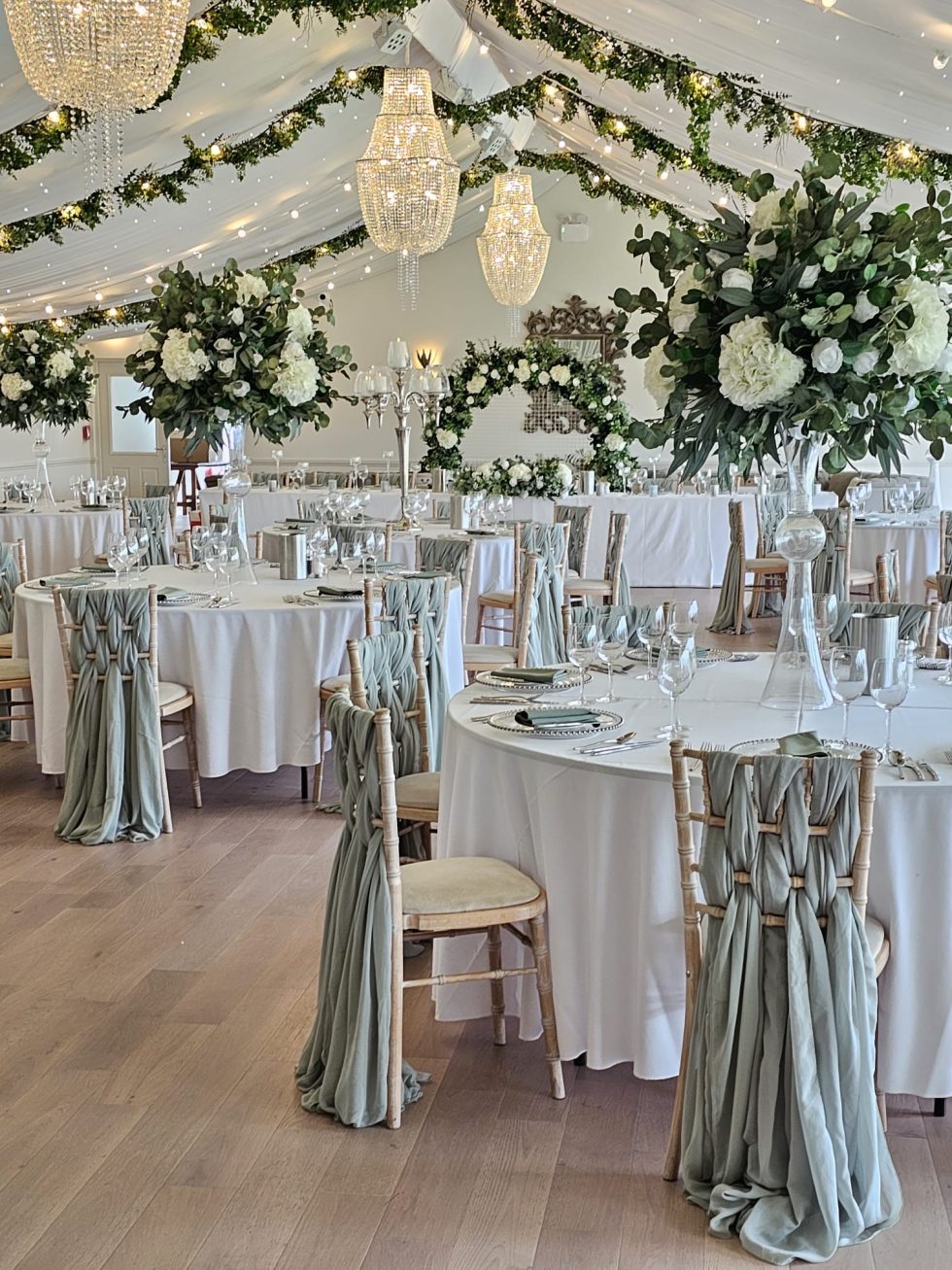 Design Elegance | The WVSA